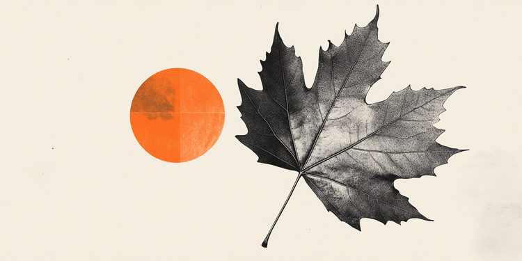 卡尼和特朗普承诺在30天内达成新的贸易协议 - 路透社